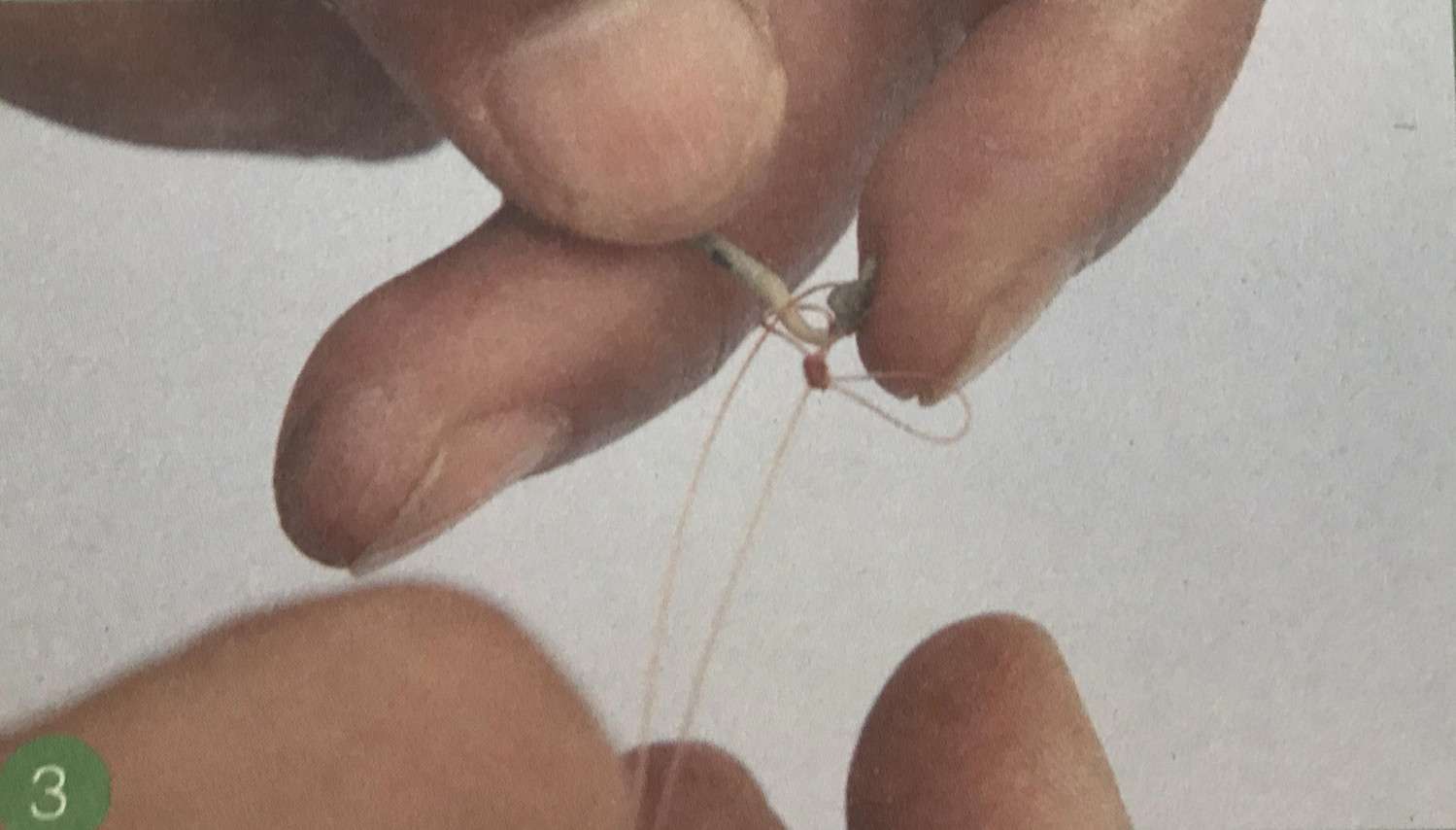 竿稍和鱼线，如何捆绑在一起，最常用绑法教程