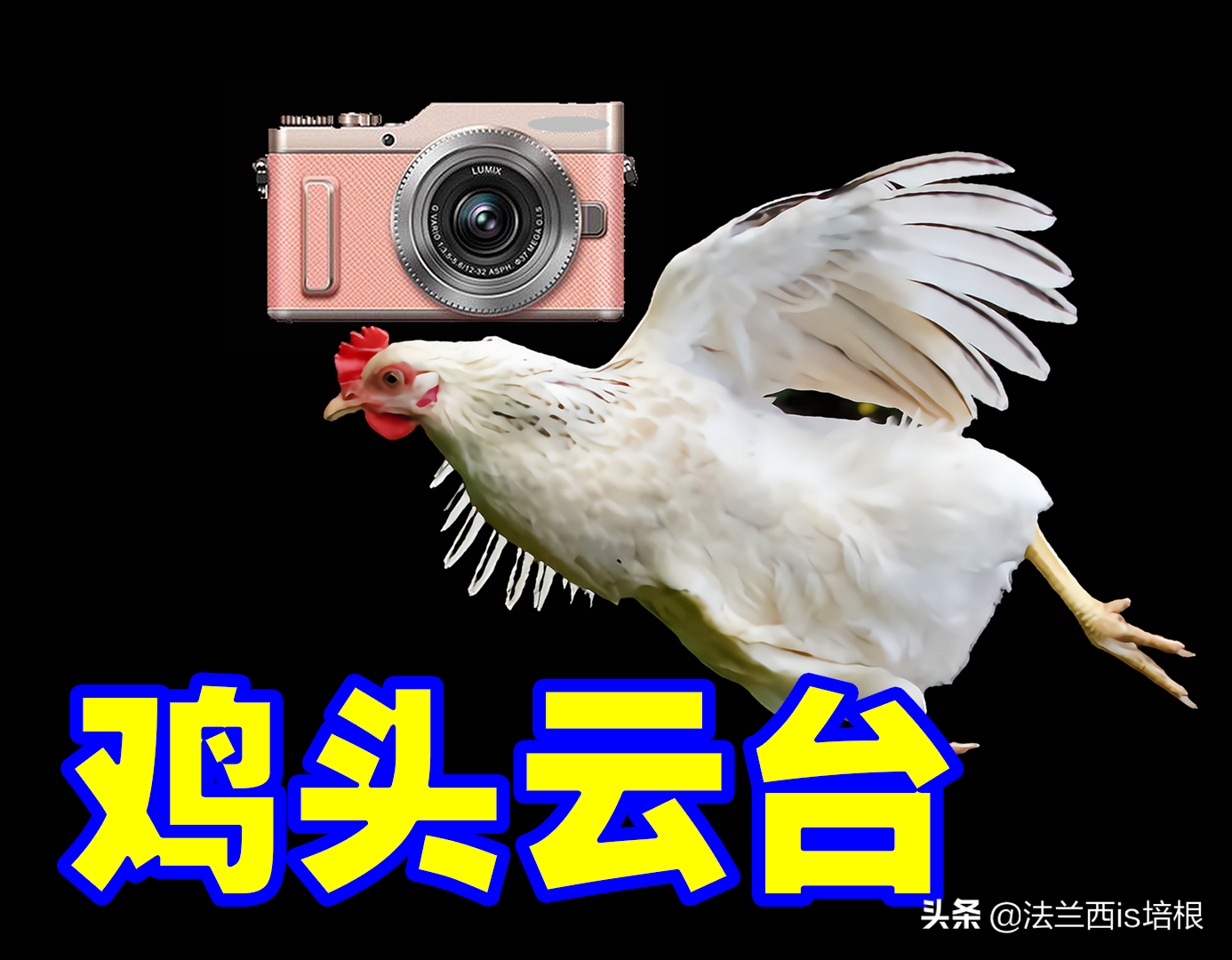 绘画的一个巨型鸡头产品工业素材免费下载(图片编号:5521224)-六图网
