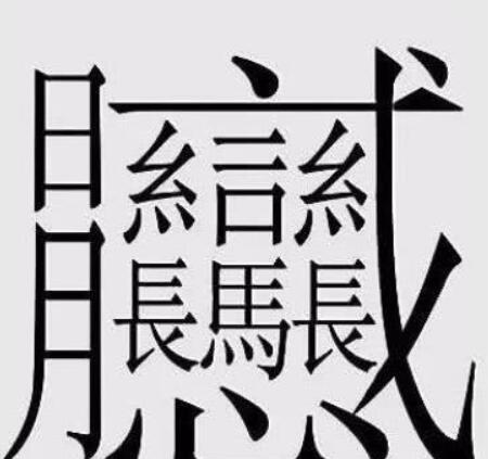 最多笔画的字怎么写（中国笔画最多的汉字大合集）-8