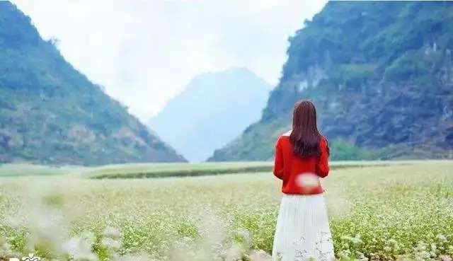 「美丽中国·乡约江西」韩剧同款荞麦花海！这个拍照胜地等你来打卡
